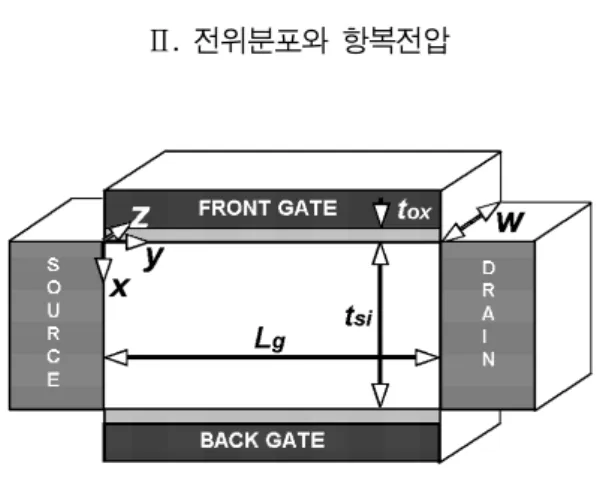 Fig.  1  Schematic  view  of  DGMOSFET.