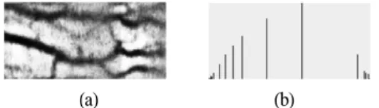 Fig.  9  Histogram  equlazation.  (a)  Histrogram  equalized  result  of  illumination  normalized  image