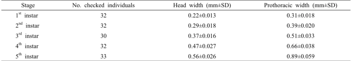 Table 1. Head and prothoracic width of P. exiguus in various nymphal stages