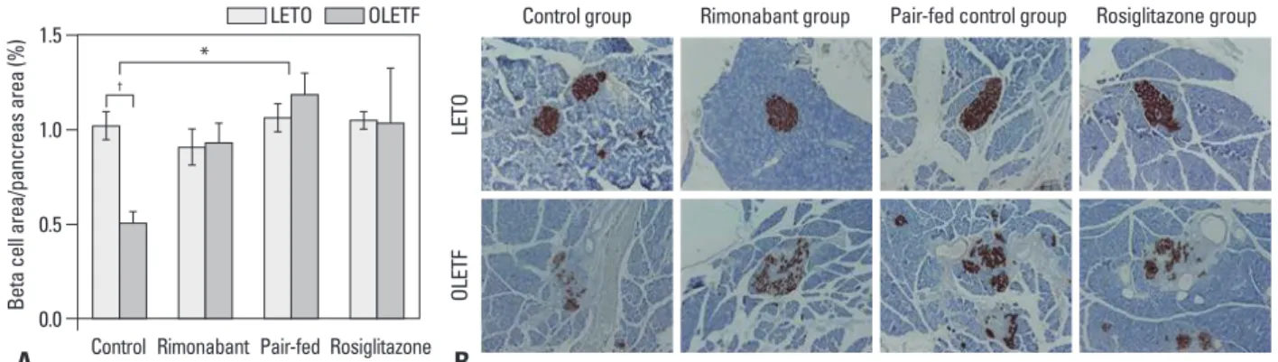 Fig. 2. (A) Relative beta-cell area of each group after treatment. *p<0.05 for control vs