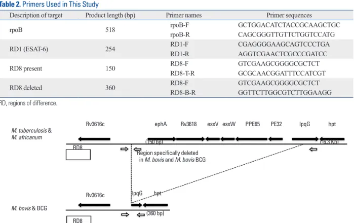 Fig. 2. Multiplex PCR for M. tuberculosis, M. bovis and M. bovis bacillus Calmette-Guérin (BCG) strains