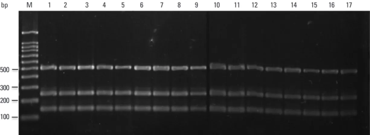 Table 3. Signature Patterns of Positive and Negative Multi- Multi-plex PCR Used to Discriminate Mycobacterial Strains