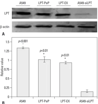Fig. 2. Cell proliferation effects of leptin in the four groups. (A) A549, LPT- LPT-PeP, LPT-EX and A549-siLPT cells were incubated with cisplatin,  respec-tively