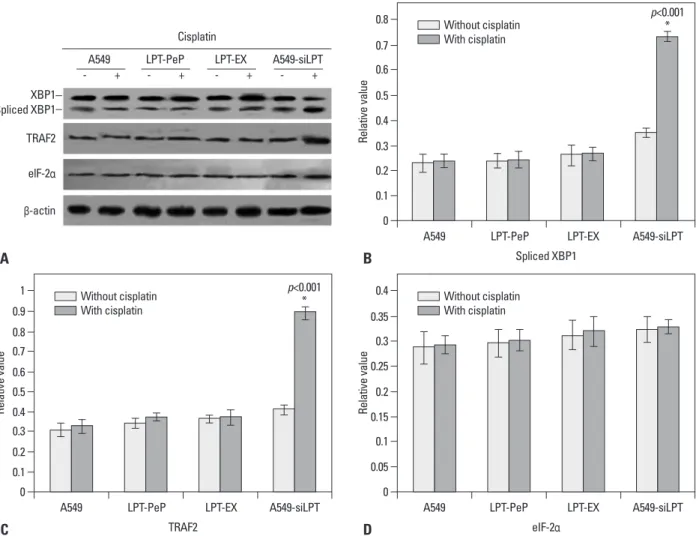 Fig. 6. Detection of ER stress (UPR) associated genes. (A) Detection of spliced XBP1 protein, TRAF2 protein, e-IF-2 α protein