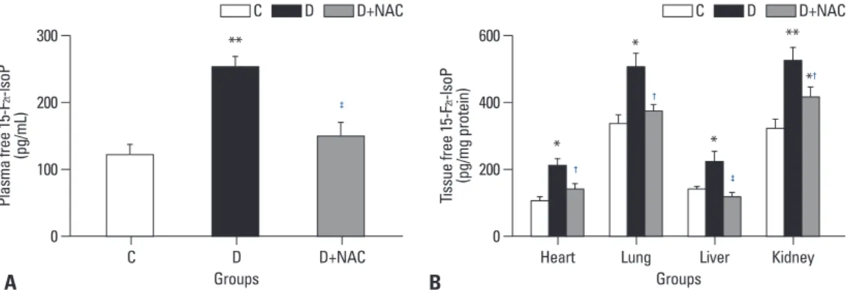 Fig. 2. Effects of N-acetylcysteine treatment on the level of total antioxidant activity in plasma (A) and various tissues (B)