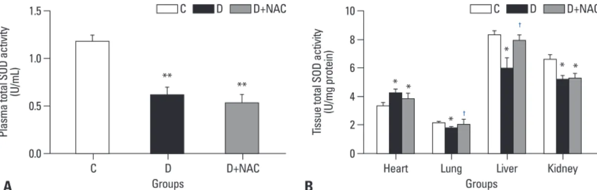 Fig. 4. Western blots analysis of Cu/Zn-SOD and Mn-SOD protein expression in various tissues