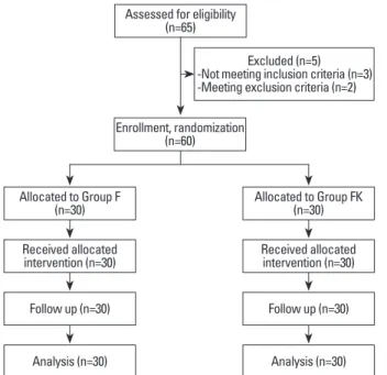 Fig. 1. Flow diagram of the progress through the trial. Group F, fentanyl  group; Group FK, fentanyl plus ketamine group.