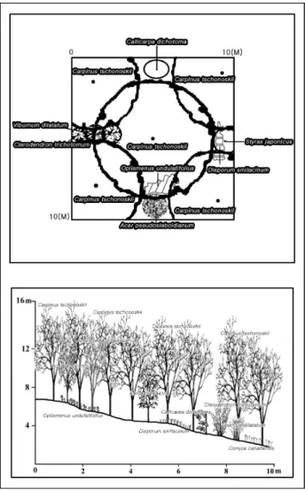 Figure 7. Plant community plane figure and section of com- com-plevmentary village forest in Seochon