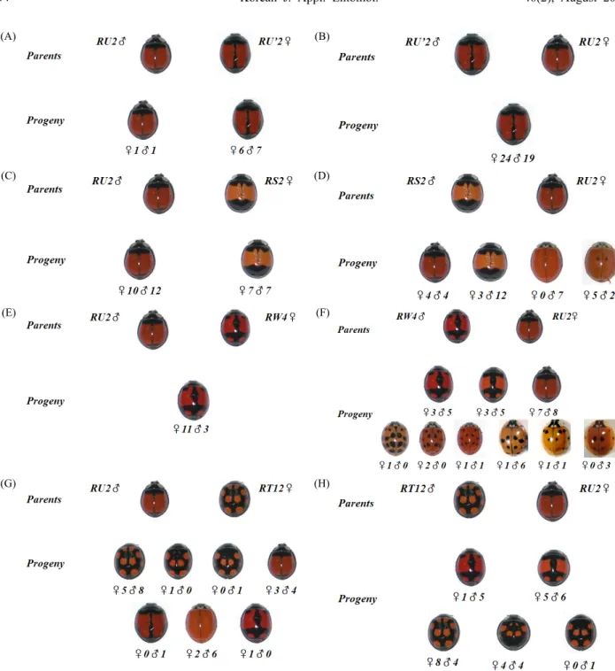Fig. 8. Cross combination of H. axyridis between different elytra colored pattern with RU2 type in axyridis group