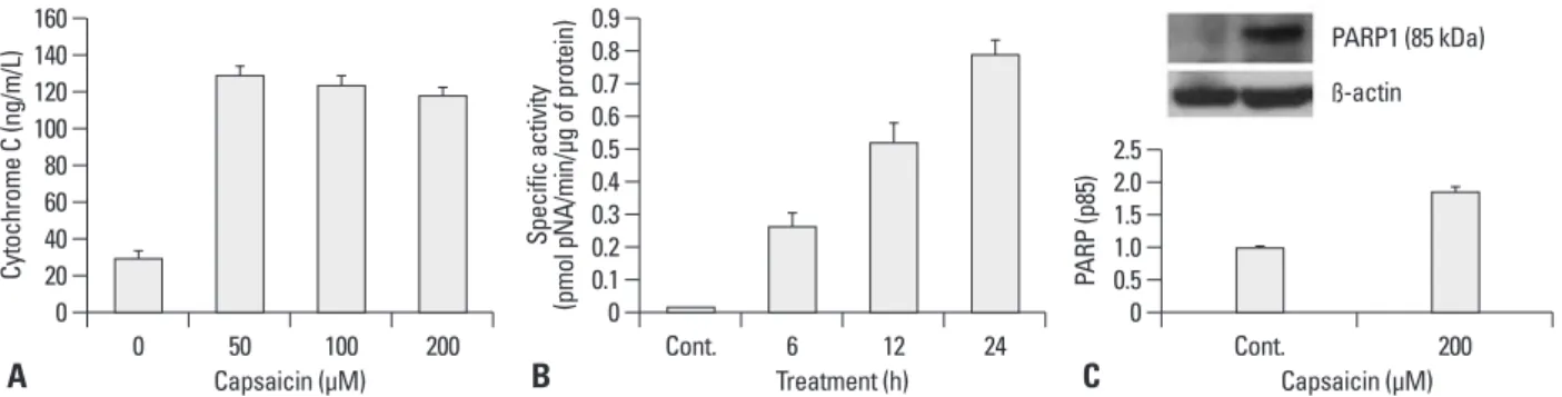 Fig. 2. The effects of capsaicin on the mitochondrial cytochrome c release into cytoplasm and caspase activity