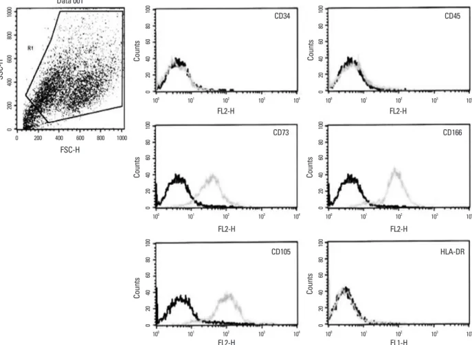 Fig. 2. Immunophenotypic characterization of the chorion derived cells. Fluorescent-activated cell sorting analysis demonstrated that cells were positive for  the markers of bone marrow derived mesenchymal stem cell, such as CD73, CD166, and CD105, but neg