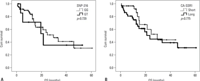 Fig. 2. Kaplan-Meier curve of overall survival according to genotype. (A) SNP-216. (B) CA-SSR1 length