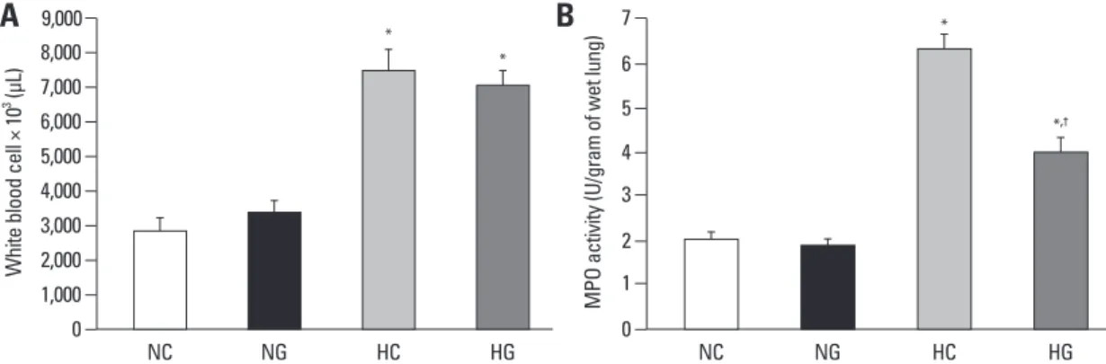Fig. 5. White blood cell count in blood (A) and myeolperoxidase activity in P 14 rat lungs (B)