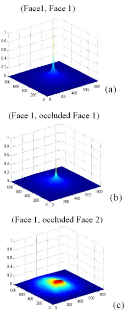 그림  8.  k=1일  때의  비선형  상관기를  이용한  인식  결과  (a)  face  1의  자기  상관  결과  (b)  face  1과  장애물에  가려진  face  1  사이의  상호  상관  결과  (c)  face  1과  장애물에  가려진  face  2  사이의  상호  상관  결과 Fig