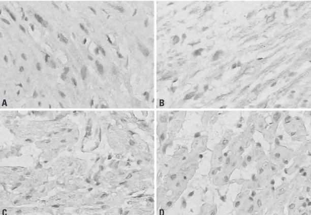 Fig. 3. Examples of immunohistochemical staining of myocardial HO-1 expression (brown)(Magnification, 400×)