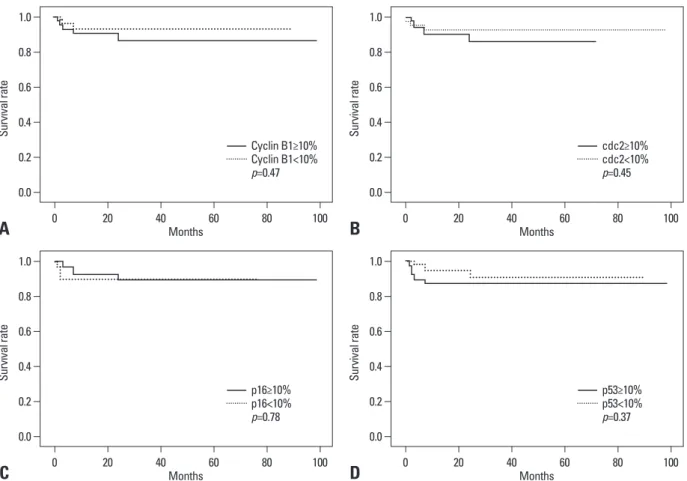 Fig. 2. Kaplan-Meier survival curve stratified according to the extent of cyclin B1 (A), cdc2 (B), p16 (C) and p53 (D)
