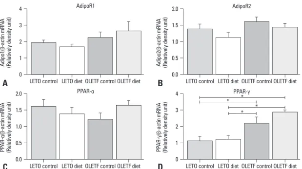 Fig. 3. Adiponectin receptor 1, adiponectin receptor 2, PPAR-α, and PPAR-γ mRNA expressions in lung tissue of OLETF rats and LETO rats: 
