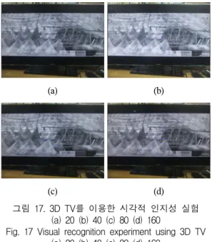 그림  18.  3D  TV를  이용한  영상  별  시각적  인지성  실험  (40의  경우)