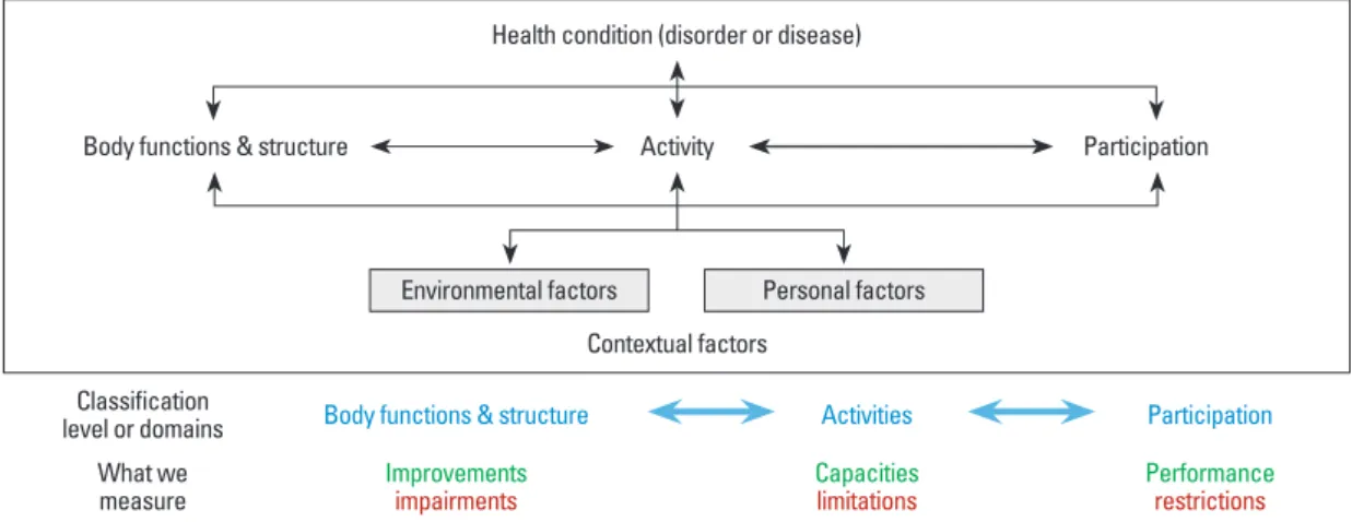 Fig. 4. International Classification of Functioning, Disability and Health (abbreviation ICF) is a taxonomic structure or bio-psycho-social  model (from WHO) integrating medical and social influences on disability
