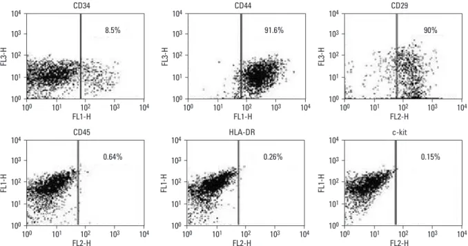Fig. 1. Flow-cytometric analysis of adult adipose cells expanded to three passages. Most of the ASCs expressed CD44 and CD29, and did not express for CD34, CD45, HLADR and c-kit