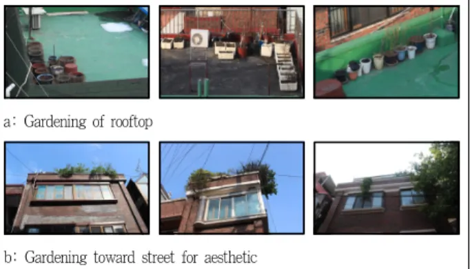 Figure 4. Types of urban gardening on the rooftop of building