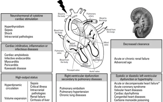 Fig. 1. The causes and mechanisms of elevated natriuretic peptides levels.  * The main reason of elevated natriuretic peptides and the best- best-established use of these testing
