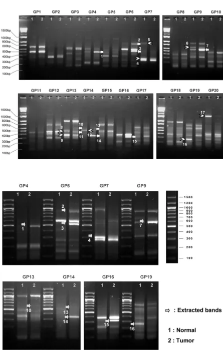 Fig. 1. GeneFishing TM  DEG screening results.