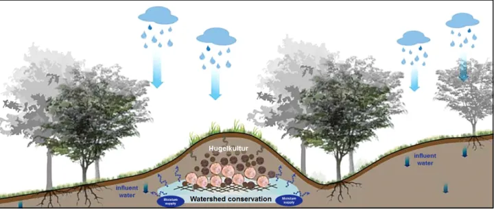 Figure 8. Improvement of watershed conservation function through soil reclamation, such as hugelkultur
