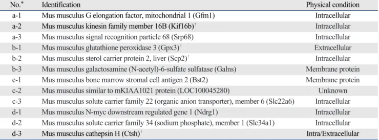 Table 1. The BLAST Results of the Positive Clones Predicted to Interact with the Mouse Kidney cDNA Library Using the pGBKT7- pGBKT7-BD/podocin Plasmid as Bait