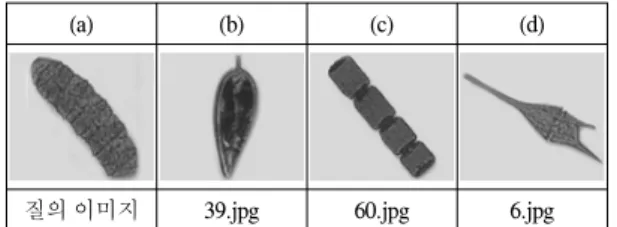 Fig.  2  Algal  image  recognition  result  with  respect  to  transformation  of  image  angle  (a)  0  angle  image 