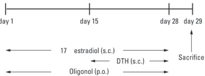 Table 1. Structure of the Experiment