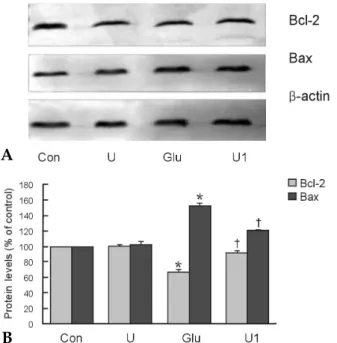Fig. 6. Effect of ULMWH on the increase of [Ca 2+ ] i  in  cortical cells induced by 100 μmol/L glutamate  applica-tion