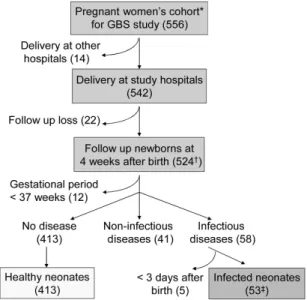 Fig. 1. Flow chart of data collection. *Gestation period 35 - 37 weeks. Four twins were included