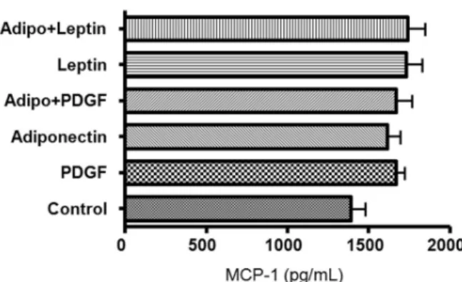 Fig. 5. Effect of PDGF, adiponectin and leptin on MCP-1 release by human ASM cells. Human ASM cells were treated with PDGF (20 ng/mL), adiponectin (50 ng/mL), and leptin (50 ng/mL)