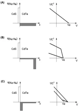 그림  4.  CdS/CdTe  이종접합의  여러  공간전하  분포와  대응되는  C -2   vs.  V  특성.
