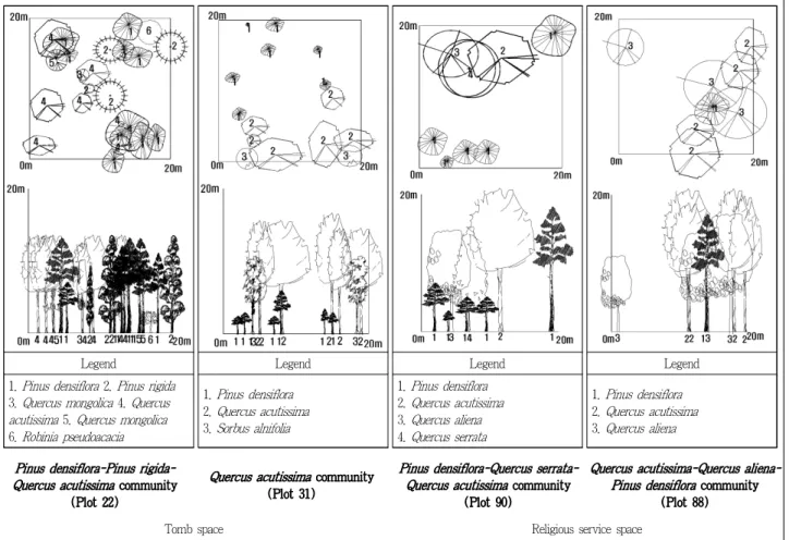 Figure 8. The canopy projection and horizon structure of tomb space and religious service space in Taeneung(泰陵)