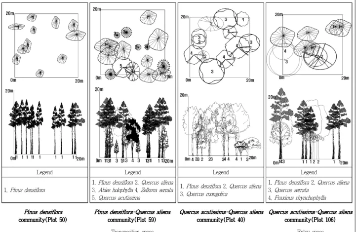 Figure 9. The canopy projection and horizon structure of transposition space and entry space in Taeneung(泰陵)
