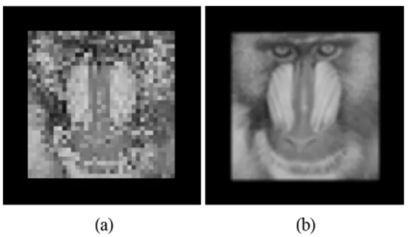 그림  6.  z/g=15위치에서의  Baboon  영상에  대한  실험  결과,  요소  영상  크기  (a)  30×30  (b)  23×23 Fig
