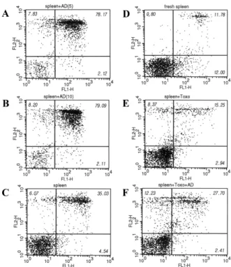 Fig. 1. Fragmentation patterns of DNA from mouse spleen cells treated with actinomycin-D and/or T