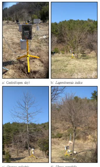 Figure 2. Relative schematic dimension of the shade trees