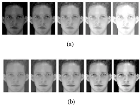 Fig.  2  Face  Image  for  Change  of  brightness  and  Contrast  (a)  brightness  Change  (b)  Contrast  Change