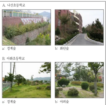그림 5. 대상초등학교 현장사진 A. 나산초등학교a: 경계숲 b: 화단숲B. 아화초등학교 a: 경계숲b: 야외숲 과정에 학생들의 참여를 유도하고, 자연을 체험할 기회를 제공 함으로써 학교숲에 대한 환경적 및 생태적 기능의 만족도가 높 게 나타난 것으로 판단된다