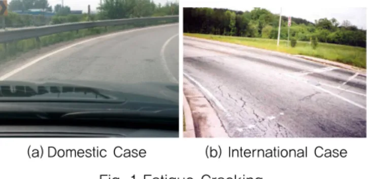 Fig. 1 Fatigue Cracking