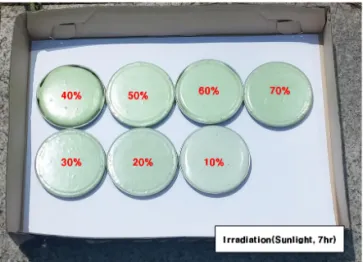 Fig. 6 Irradiation (Sunlight, 7hour)