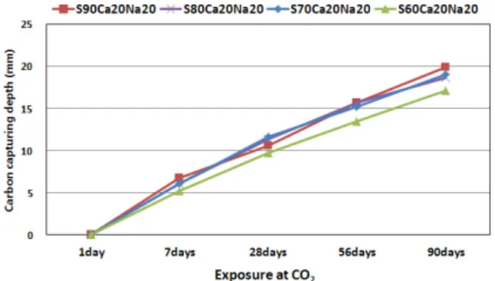 Fig. 21 Carbon Capturing Specimen when Exposed to Pure Air