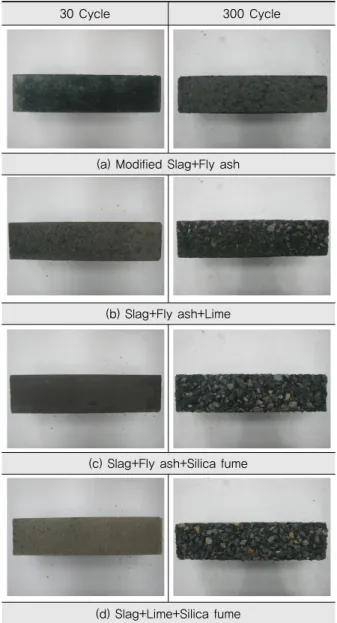 Fig. 7 Freezing-Thaw Test Result