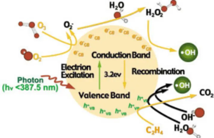 Fig. 2 Photocatalytic Reaction
