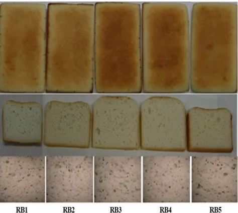 Fig.  1.  Whole  and  cross  section  shape  showing  crumb  structure  of  gluten-free  rice  breads  Basic  rice  bread  (RB1)  and  basic rice  bread  formula  with  food  additives,  TGase  (RB2),  TGase+WP  (RB3),  TGase+WP+PGA  (RB4),  and  TGase+WP+