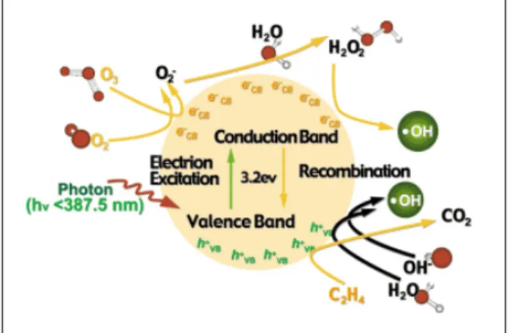 Fig. 3 Photocatalytic Reaction 