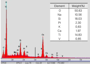 Fig. 9 EDAX Analysis Results for Coating Compounds
